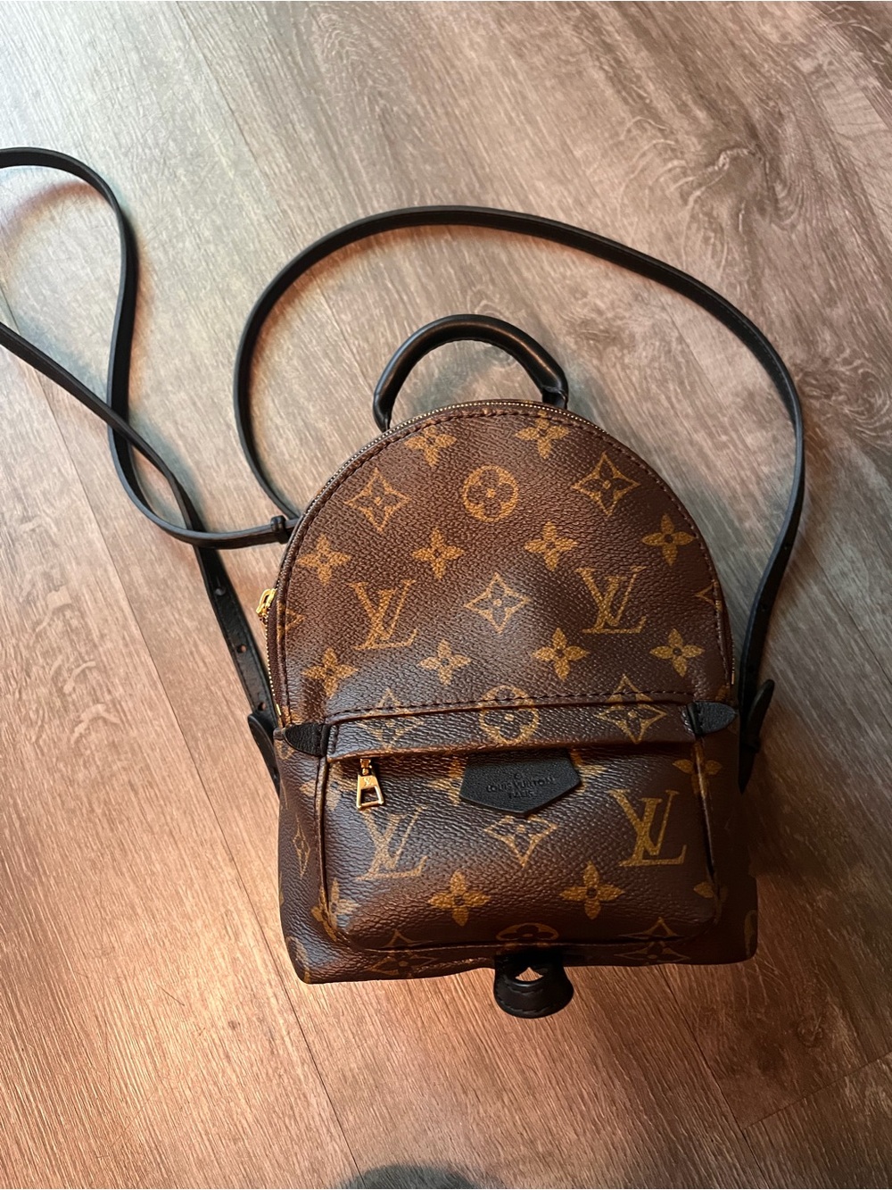 Louis Vuitton Monogram Mini Backpack in Brown and Gold